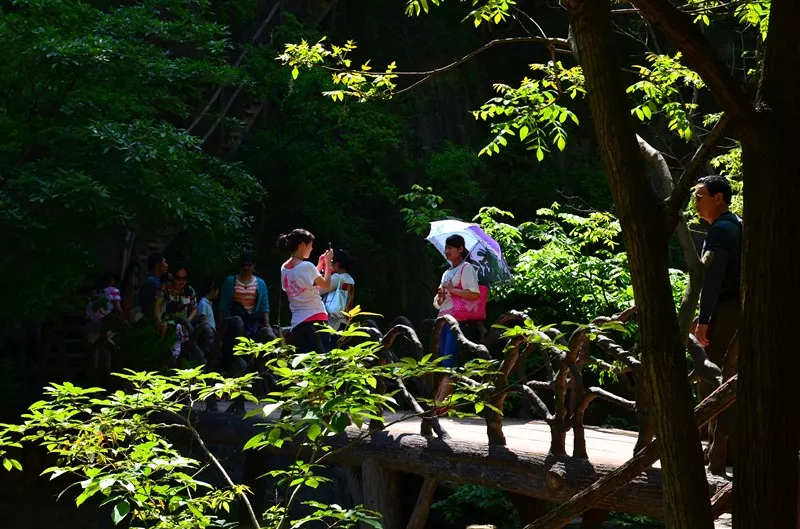 用心服务 我们为栾川旅游添彩！