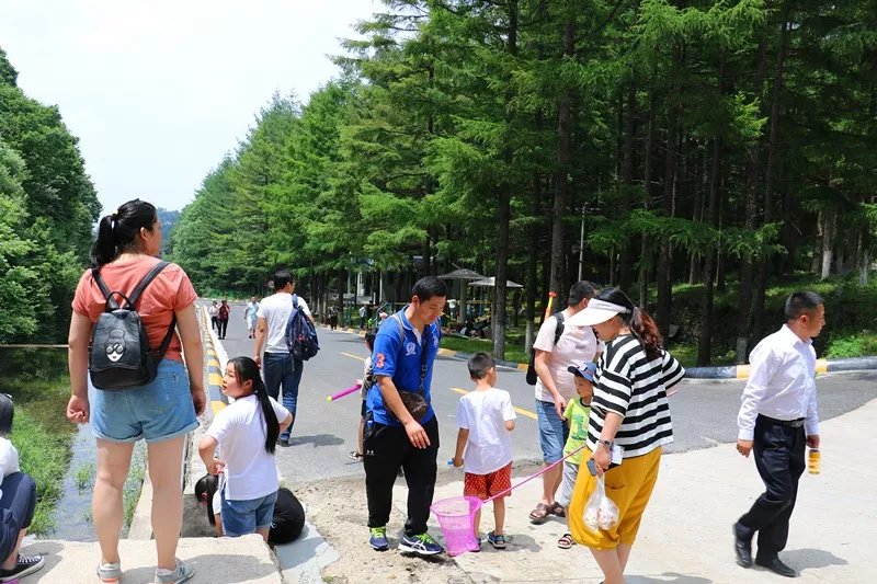 用心服务 我们为栾川旅游添彩！