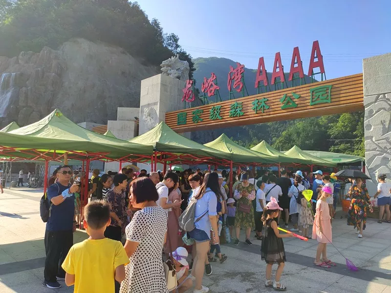 用心服务 我们为栾川旅游添彩！