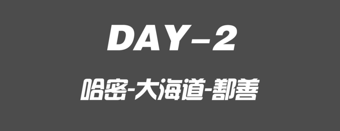 两天800公里 穿越了戈壁看见了碧波荡漾的湖水 还遇见了张亚
