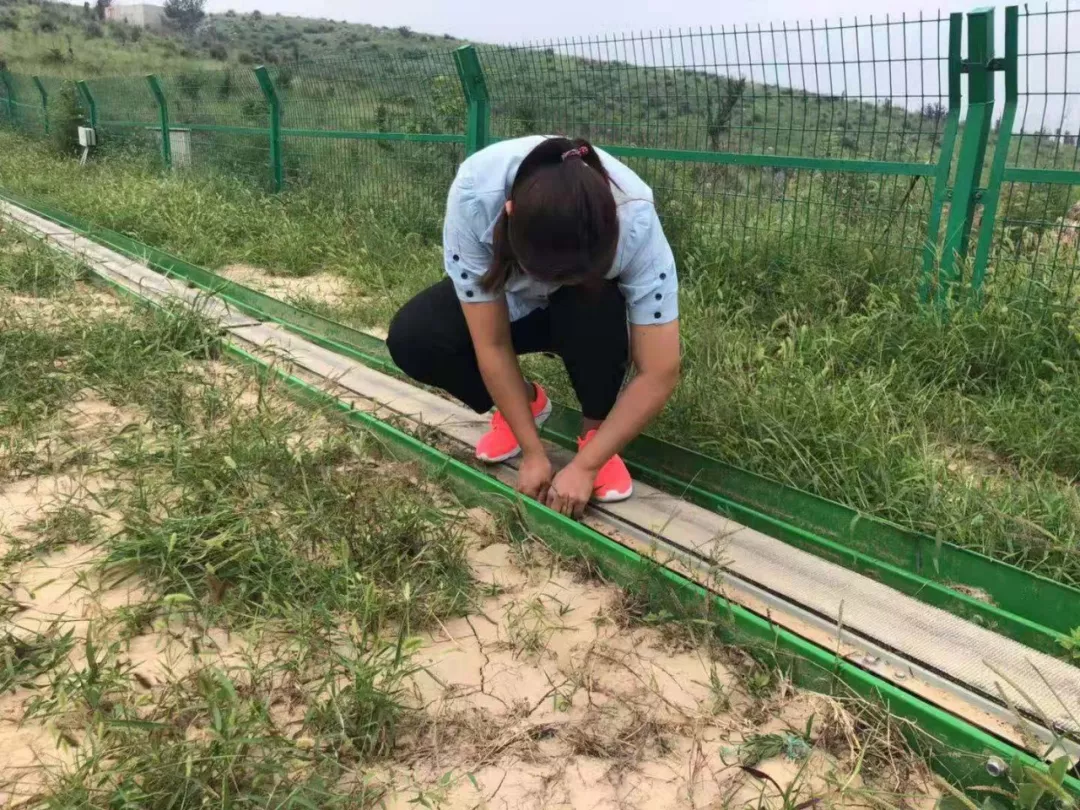 雷霆出击，全力提升——云梦山景区提质升级纪实（三）形象大提升