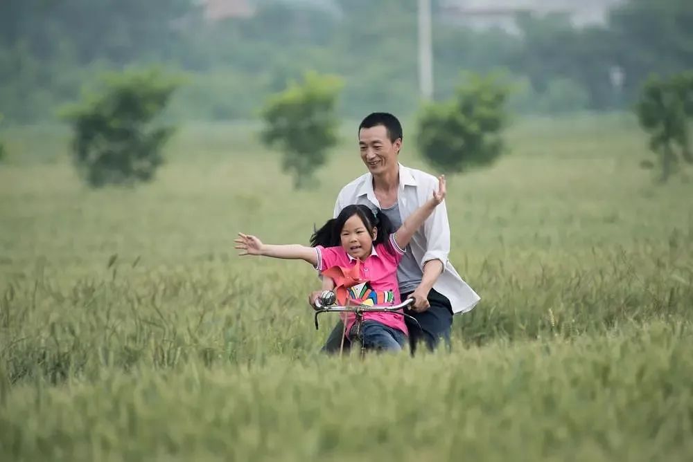 《风吹吧麦浪》回望故乡情难了却