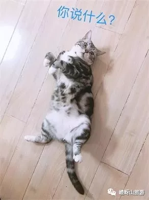 假期余额不足速速打卡