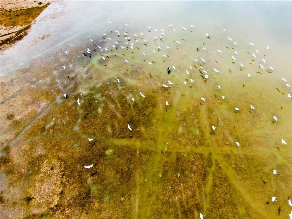 济源黄河三峡再上央视！