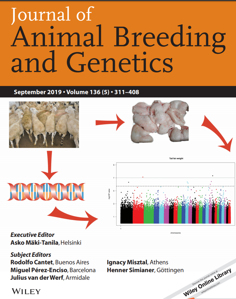 农科院牧医所在绵羊尾部脂肪沉积基因鉴定中取得重要进展