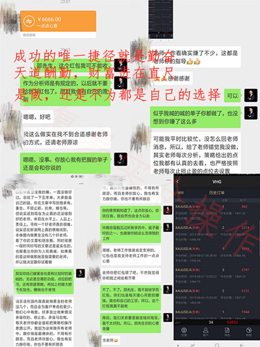 言复易：市场案例：炒黄金赚钱是贪？止损设了只会亏损？