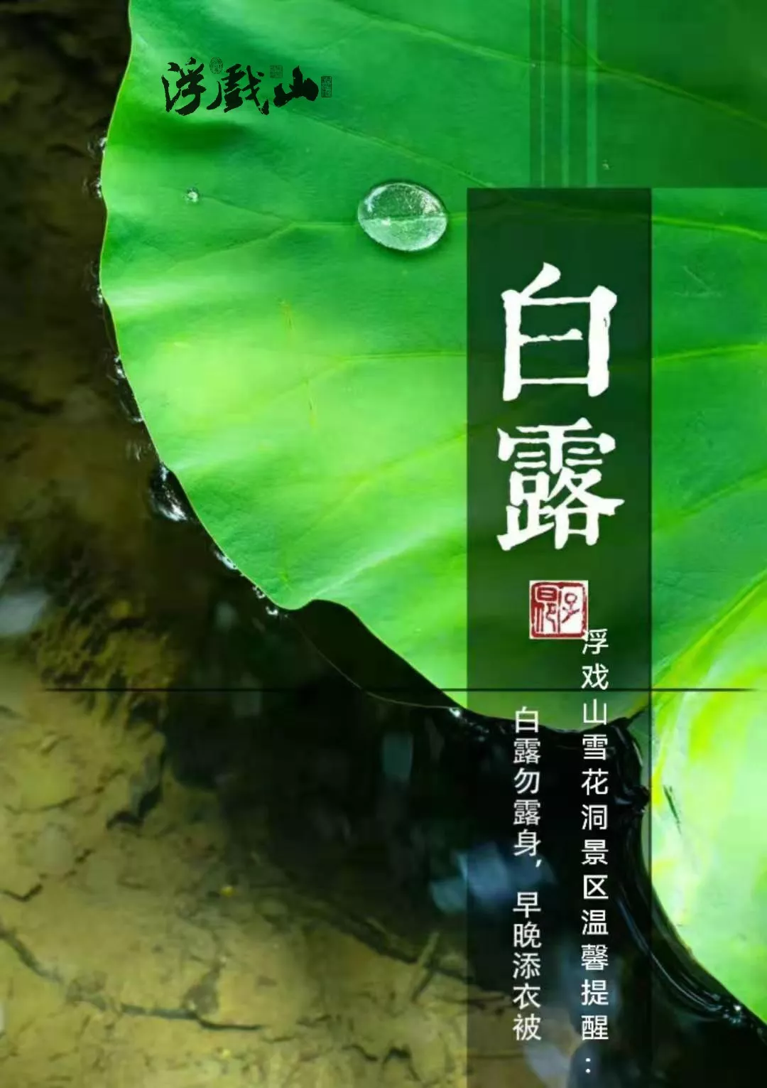 露从今夜白，道是天凉好个秋