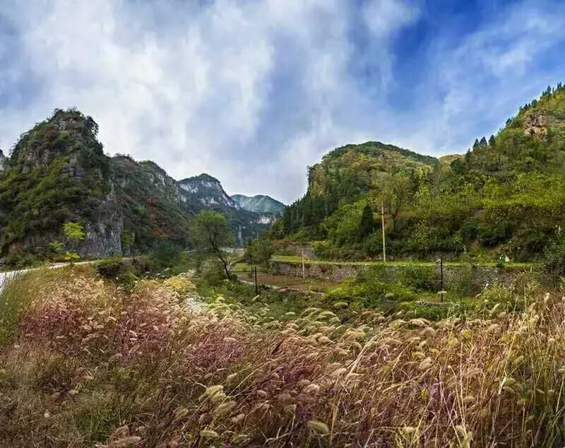露从今夜白，道是天凉好个秋