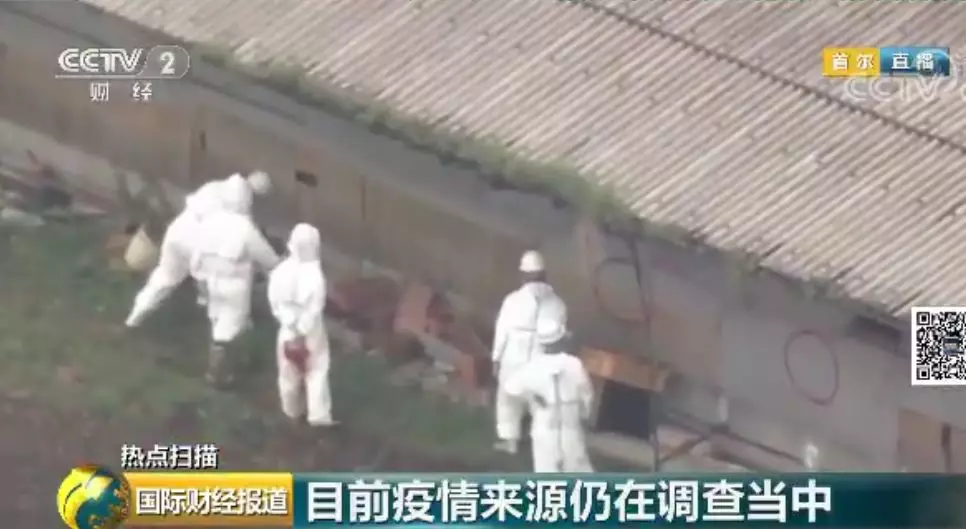 韩国首例非洲猪瘟疫情 养猪场、屠宰场人员及车辆、物品禁止移动