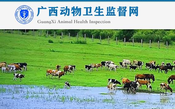 广西动物卫生监督  九月上半月要闻纵览