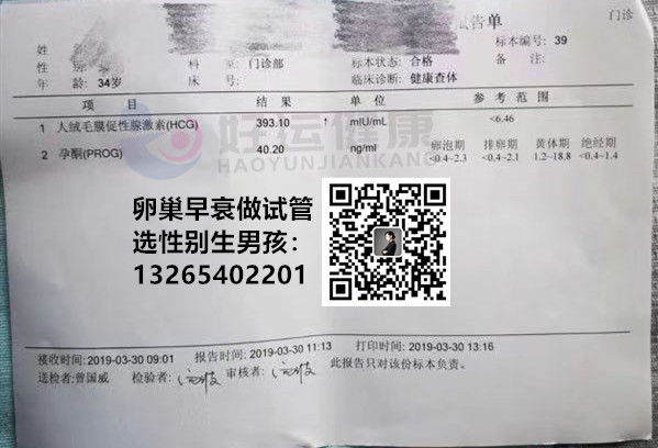 好运健康高龄备孕遇卵巢早衰,好运健康泰国供卵试管优势明显,花费少成功率高 试管,高龄,卵子,早衰,卵巢 前期咨询 好运健康高龄备孕遇卵巢早衰,好运健康泰国供卵试管优势明显,花费少成功率高 试管,高龄,卵子,早衰,卵巢 前期咨询