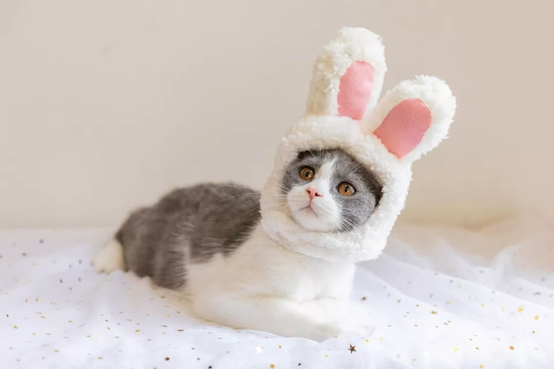 乳腺癌新兴药物不断涌现，乳腺癌未来可期！