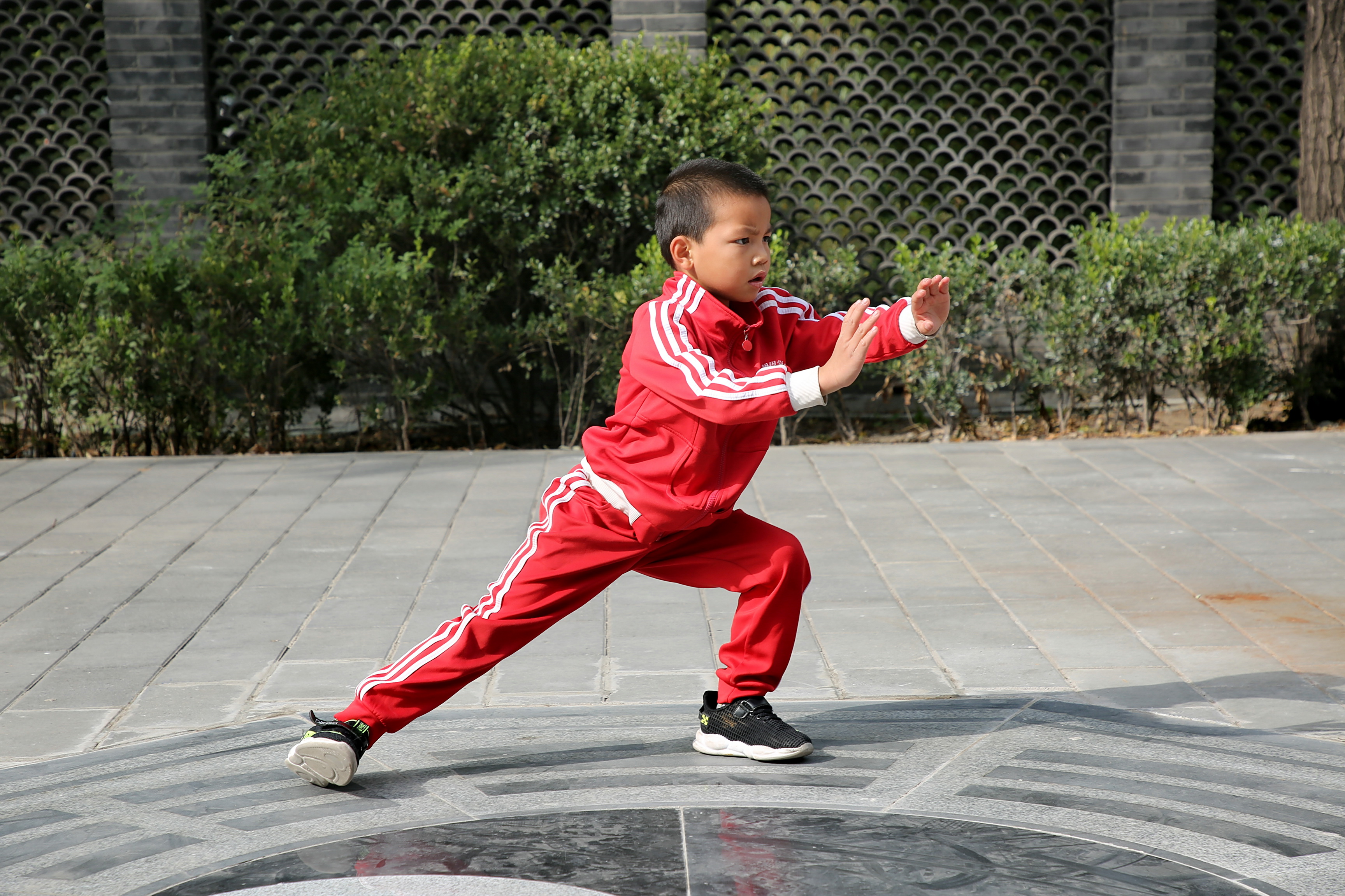 [转载]武术少年助力武术入奥