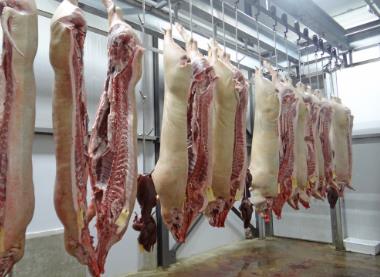 官方最新生猪价格  生猪35.52元/公斤 白条肉45.06元/公斤