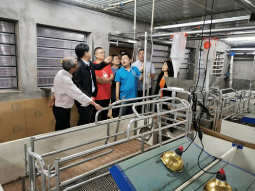 重庆德康公司中国第一个现代化AI种猪场