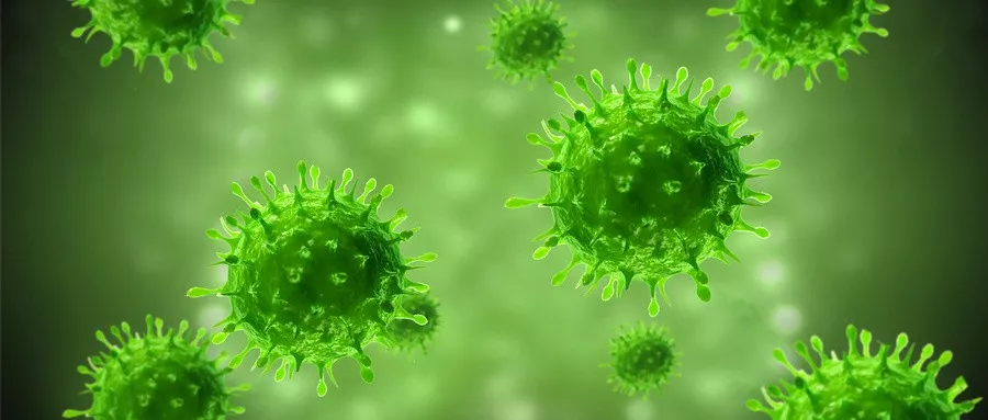 癌症患者增免疫力，这四招助你一臂之力！