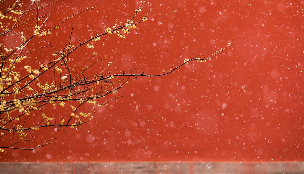 北京初雪!明星们不同的表达方式,最后那个厉害了