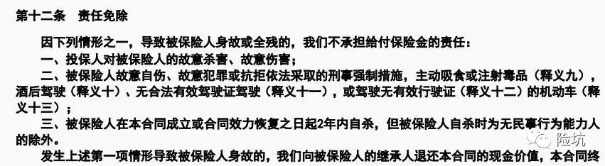 国富定海柱1号——年度最佳定寿？