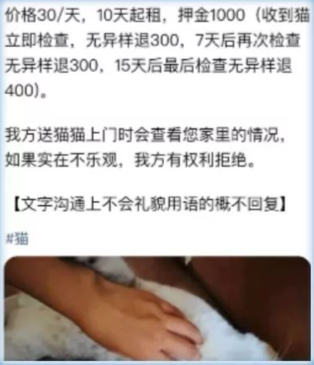 几百元租猫一周：猫经济遇冷猫咖猫舍搞起了“以租促售”-锋巢网