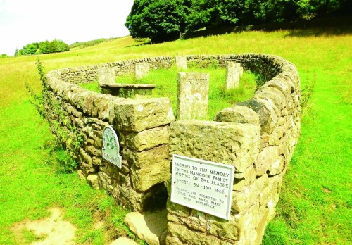 金新： 高福的医学论文与疾控责任