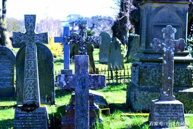 金新： 高福的医学论文与疾控责任