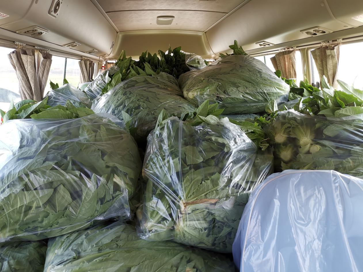 沿江蔬菜种植户龚鸭富向市强戒所捐赠1.4吨爱心蔬菜
