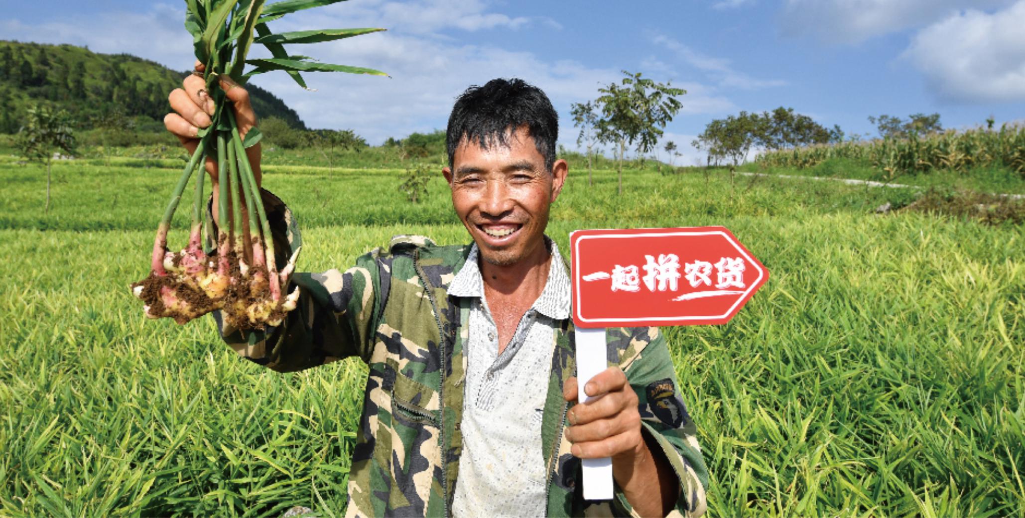 把电商扶贫助农从模式转变为范式，谁更大有可为？-锋巢网