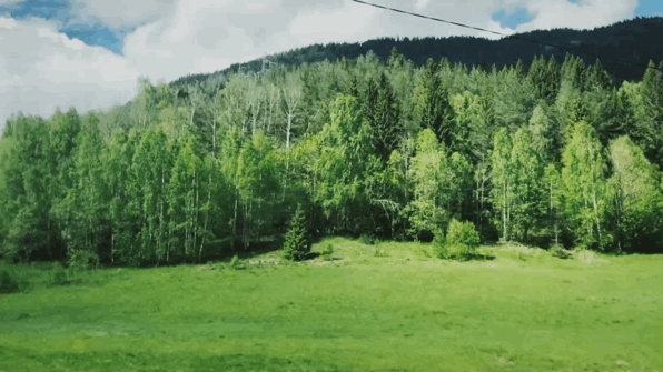 596_335gif 动态图 动图