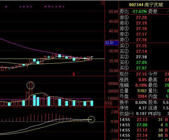 史上最强周线选股铁律,选出来的股都是牛股_战