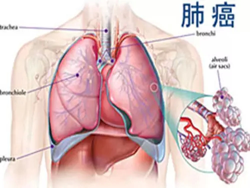 什么有肺肠成语_脸开头的成语有什么(3)