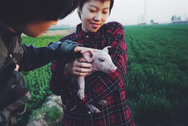 看不懂《乡村爱情》的潮，可能是你还不够土