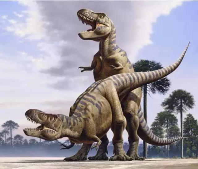 和恐龙XXOO是一种什么样的体验？