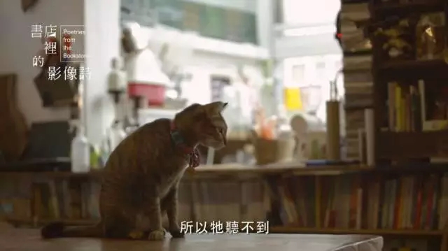 每一间散落在城市里的书店，都像黑暗中照亮归途的灯塔