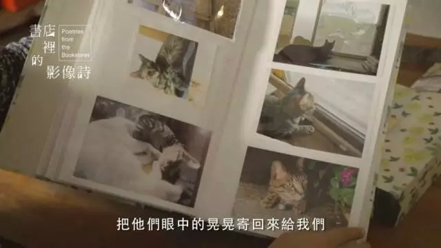 每一间散落在城市里的书店，都像黑暗中照亮归途的灯塔