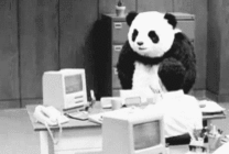 大张伟：别烦我，这样的生活我受够了