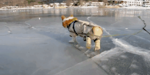 闲侃丨跟着警队车神开神车之后,再也不崇拜藤原拓海和ae86了