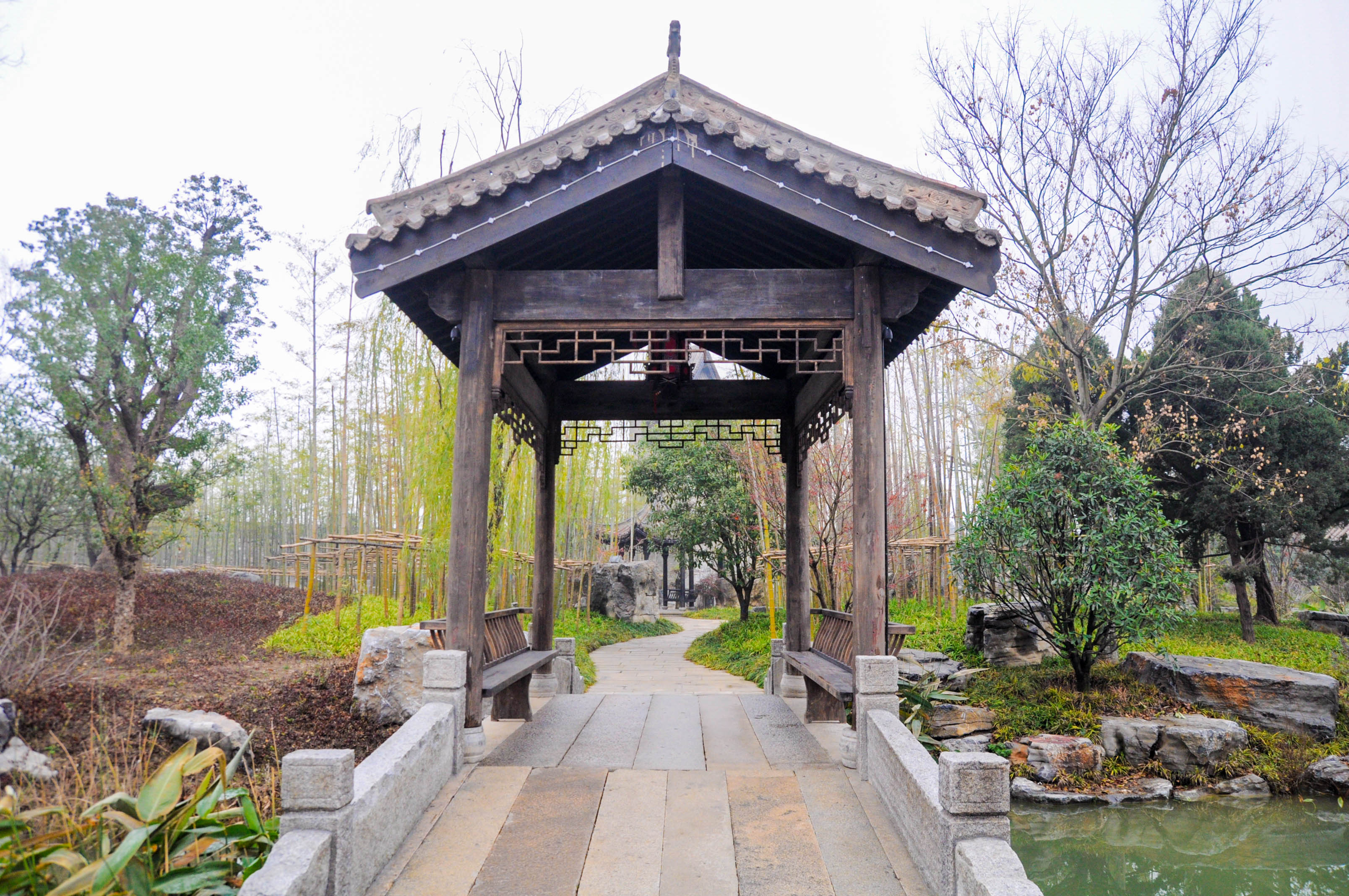 「尤家花园」室雅何须大,花香不在多