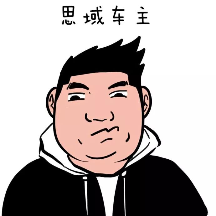 各大品牌车主画像众泰车主表不服奥迪车主已哭晕在厕所