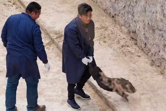 我们都被“装傻”的王宝强给骗了...