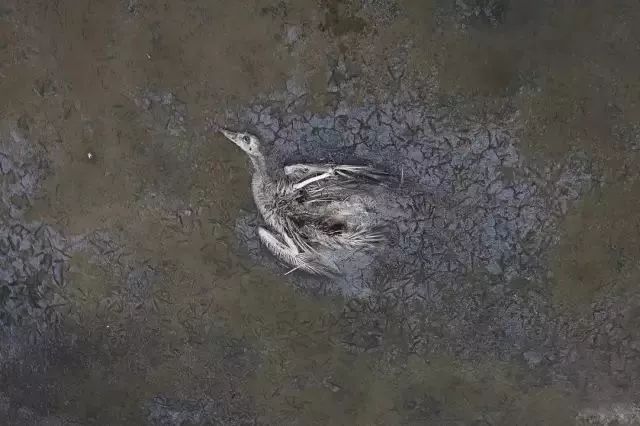 他镜头下的人间，恰似一场炼狱