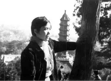 这位怒骂北大的“反革命”作家，与中国教育一斗就是70年！