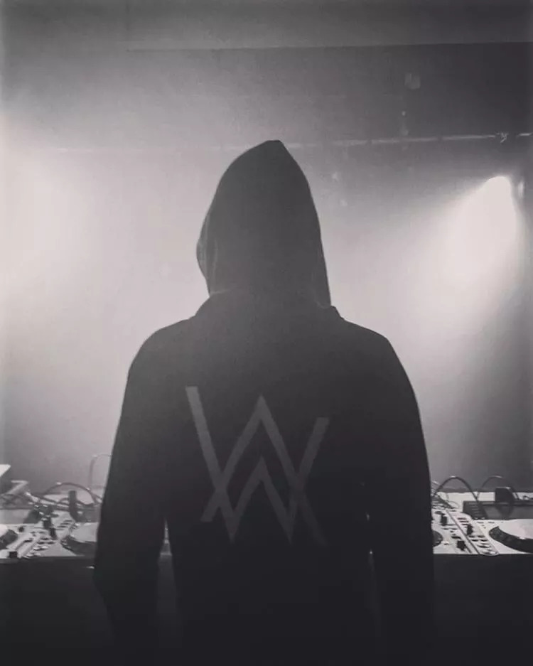 刚满21岁的“伪电音”Alan Walker，凭什么红遍全球？