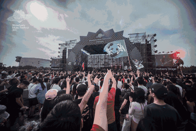 我是个职业音乐节小偷，我比你们更懂音乐