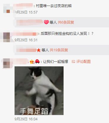 这只熊究竟经历了什么，才学会了在铁笼子里蹦迪？