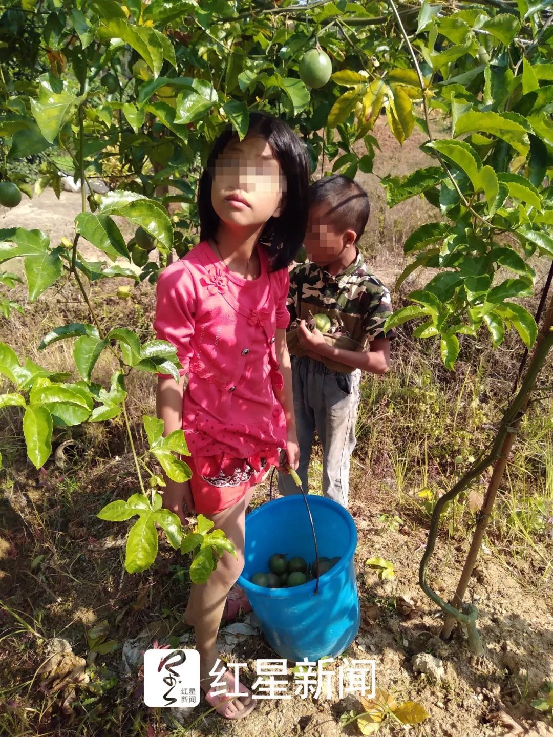 广西10岁女孩遇害下身赤裸其父9年前救人去世