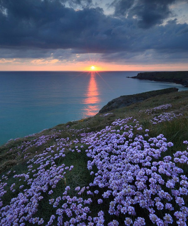 遇到爱你的人,学会感恩。遇到你爱的人,学会付