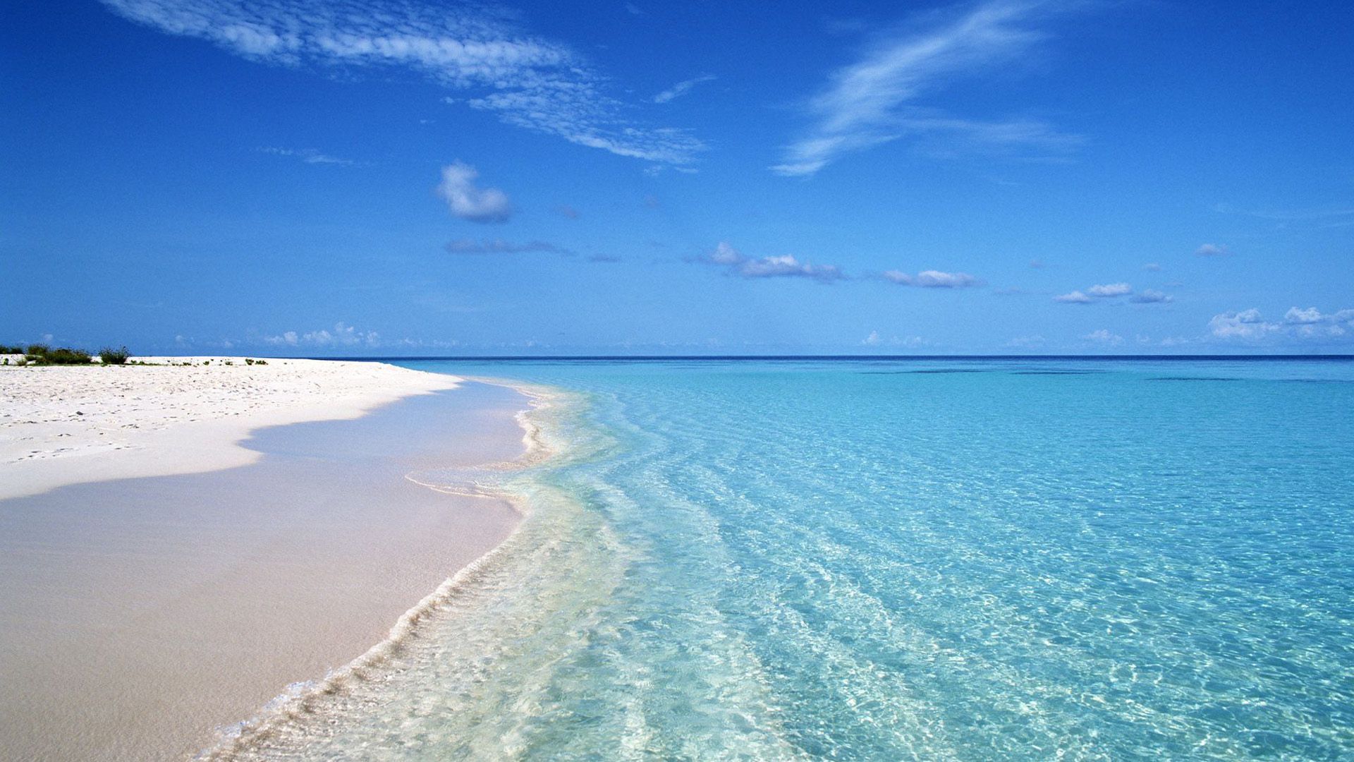 伊川农商行董事长康凤利有钱任性