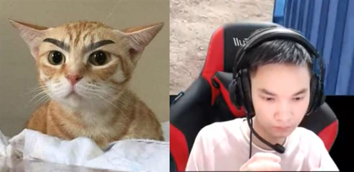 和平精英实锤吃鸡主播与橘猫撞脸就连表情也极为同步