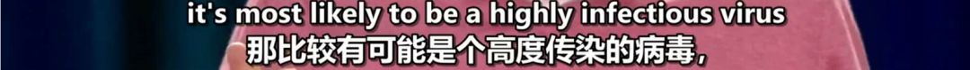 比尔盖茨5年前演讲刷屏：一场致命瘟疫可能会杀掉上千万人