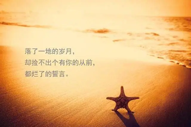 幽美塔罗牌占卜：他在等我联系他吗
